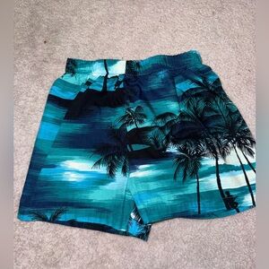 Boys Tropical Shorts Blue 2T